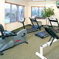 Tn-pal_wpbm-fitns-1