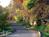 Country Comfort - A Bed and Breakfast::BedAndBreakfast.com
