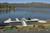 Big Bear Lakefront Lodge::Orbitz