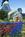 Super 8 Motel - Lacey/Olympia Area::Orbitz