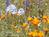 Kern River Inn Bed & Breakfast::BedAndBreakfast.com