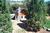 Yosemite Rose Bed & Breakfast::BedAndBreakfast.com