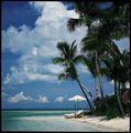 Little Palm Island