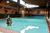 Best Western Black Bear Inn::Expedia