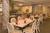 Best Western Deltona Inn::Priceline.com