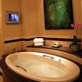 Harrah S Metropolis Casino::Priceline.com