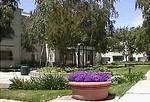 Oakwood At Archstone Walnut Cre