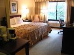 Wyndham Garden Hotel Charlotte