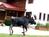 Mountain Sports Inn::Orbitz