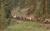 Greenhorn Creek Guest Ranch::CiaoBambino