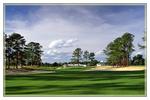 Pinewild Country Club of Pinehurst, Azalea Course