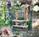 Guest House Bed & Breakfast::BedAndBreakfast.com