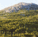 Holiday Inn Express Keene::PetFriendly.com