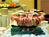 Holiday Inn Select Koger South::Orbitz