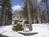 Inn the Woods::BedAndBreakfast.com