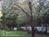 Bloomsbury Inn::BedAndBreakfast.com