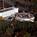 Enfield Hotel and Conference Center::Expedia