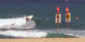 Web-ehukai102201