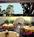 Inn At Rancho Santa Fe from Expedia