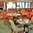 Courtyard by Marriott Herndon Reston::Expedia