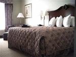 Hampton Inn Fort Stockton, Tx