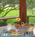Yellow Farmhouse Inn::BedAndBreakfast.com
