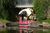 Bonfante Gardens Theme Park from Yahoo! Travel