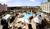 Country Inn & Suites By Carlson, OrlandoMNgateCaly from Expedia