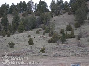Josie's Bozeman Bed and Breakfast::BedAndBreakfast.com