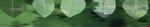 Tn-hortleaves_green-758x137
