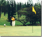 Pearl Country Club::Pearl Country Club
