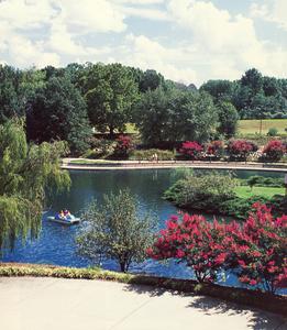 Pullen Park::Bgjdesign.com