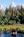 Best Western The Lodge At Jackson Hole::Hotels.com