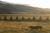 Margo's Mountain Suite Bed & Breakfast::TripAdvisor