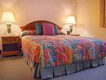 Chateau Sonesta Hotel