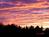BEACH COVE HOTEL & RESORT - BOOTHBAY HARBOR::PetFriendly.com