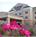 Fairfield Inn and Suites by Marriott Youngstown::Yahoo! Travel
