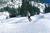Silver Forest Inn::BedAndBreakfast.com