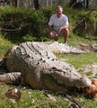 St. Augustine Alligator Farm