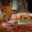 Radisson Hotel & Conference Center St. Peterburg::Expedia
