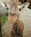 Zoo Atlanta from Zoo Atlanta