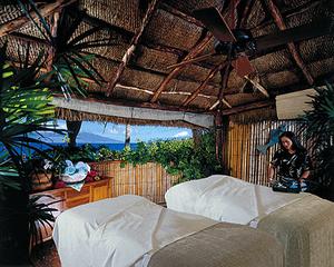 The Spa at Four Seasons Resort Maui::DiscoverSpas.com