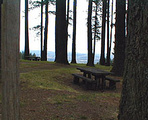 Bald Peak State Park