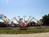 Sandy Lake Amusement Park::ThemeParksOnline