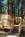 Arizona Sled Dog Inn::BedAndBreakfast.com