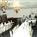 Budget Inn & Suites::ProfessionalTravelGuide.com