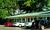 Pine Grove Motel::ProfessionalTravelGuide.com