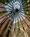 Hyatt Regency Atlanta::Orbitz