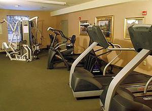 Web-bos_hibb-fitns-1
