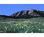 Boulder Broker Restaurant::Epinions.com